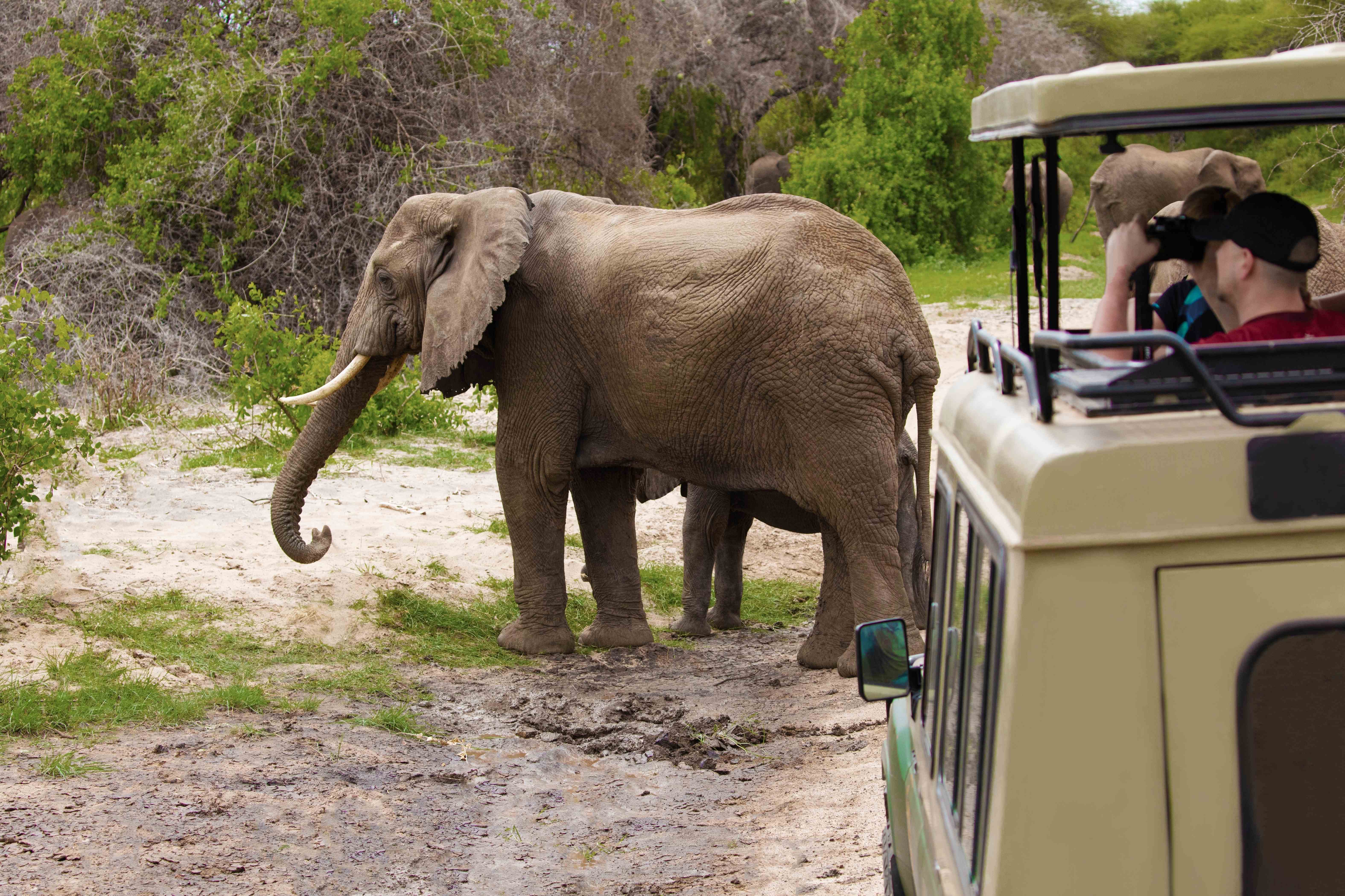 Tanzania Safari & Zanzibar Escape